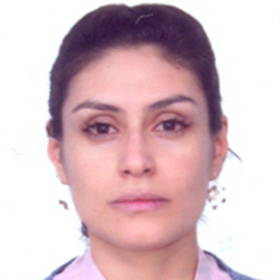 Deisy Carolina Sanabria Saosa